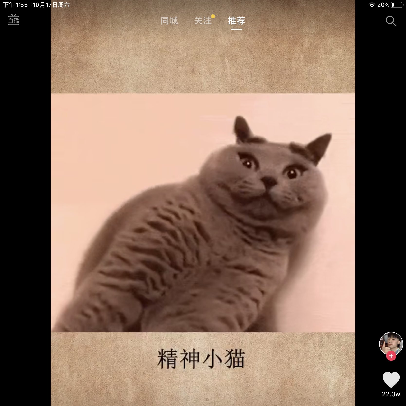 头像