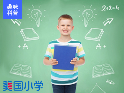 【美国小学趣味科普】Plants and Animals Live Here