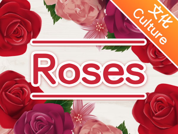 "闲话"英语 | 花中的浪漫诗人—玫瑰             Roses