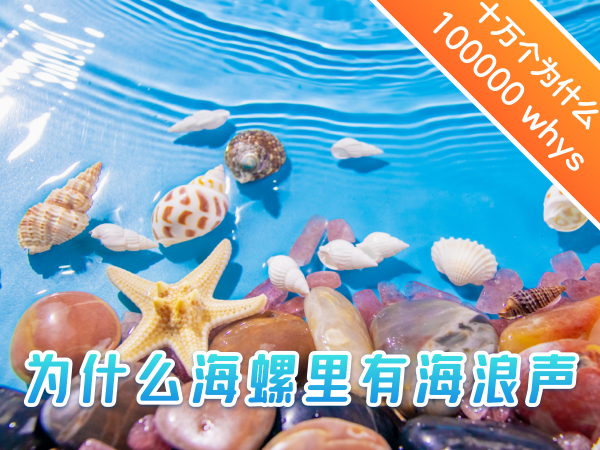 【双语成长课｜十万个为什么】为什么海螺里有海浪声？