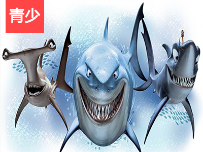 外教精品课sharkfamily一起看看鲨鱼家族